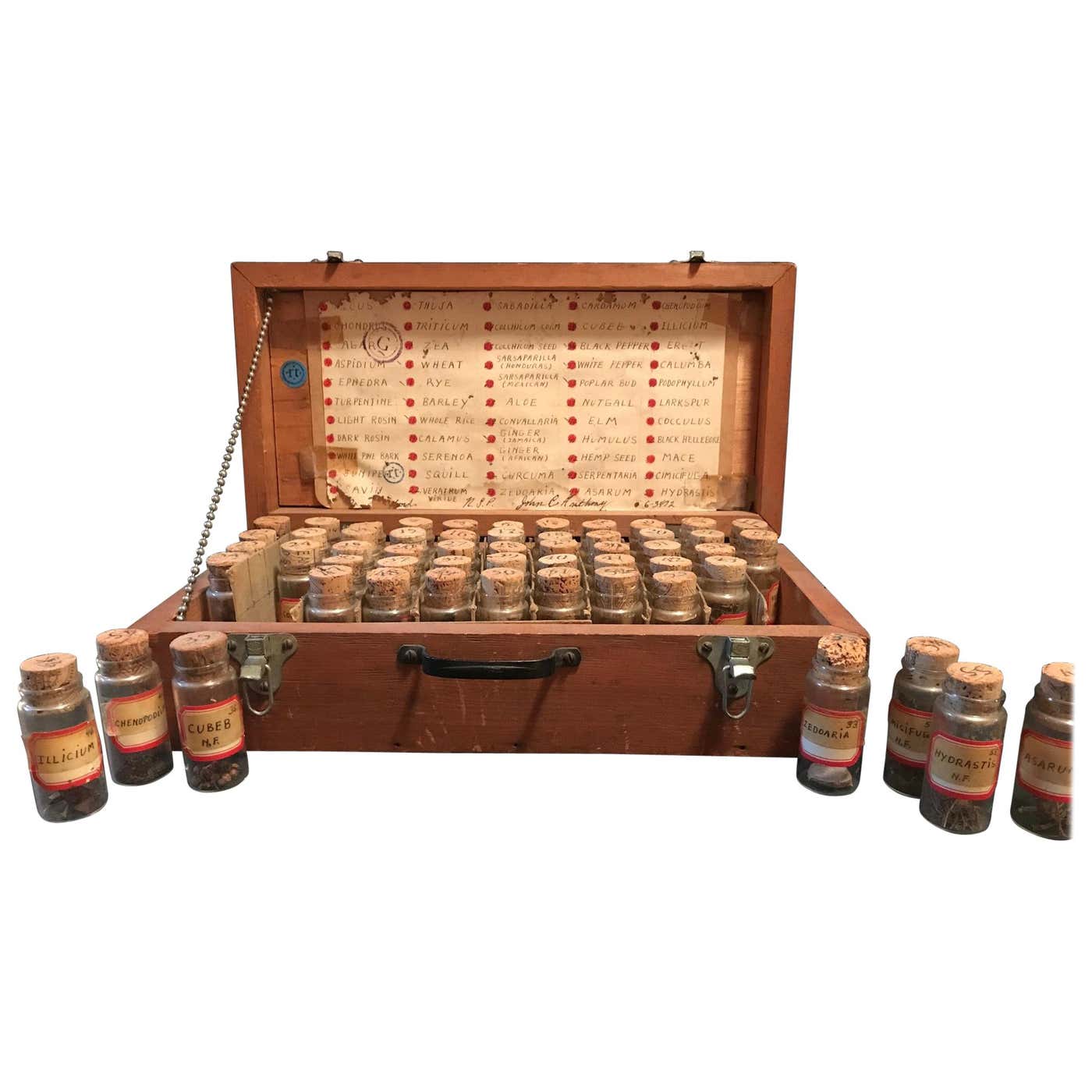 Vintage Specimen Box, Botanical Assemblage, Collection of Natural ...