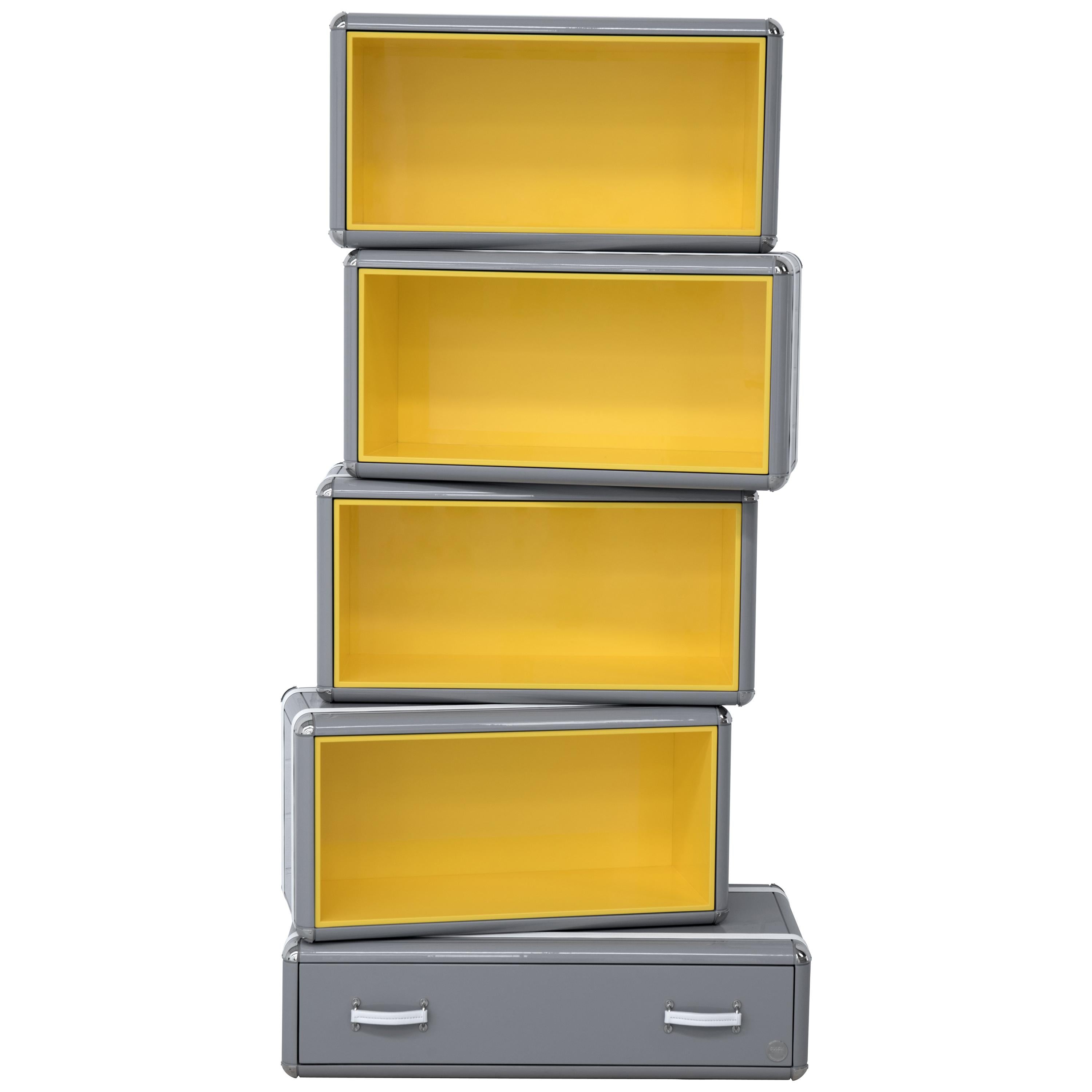 Sky Bookcase in Dark Gray Wood with Yellow Interior For Sale