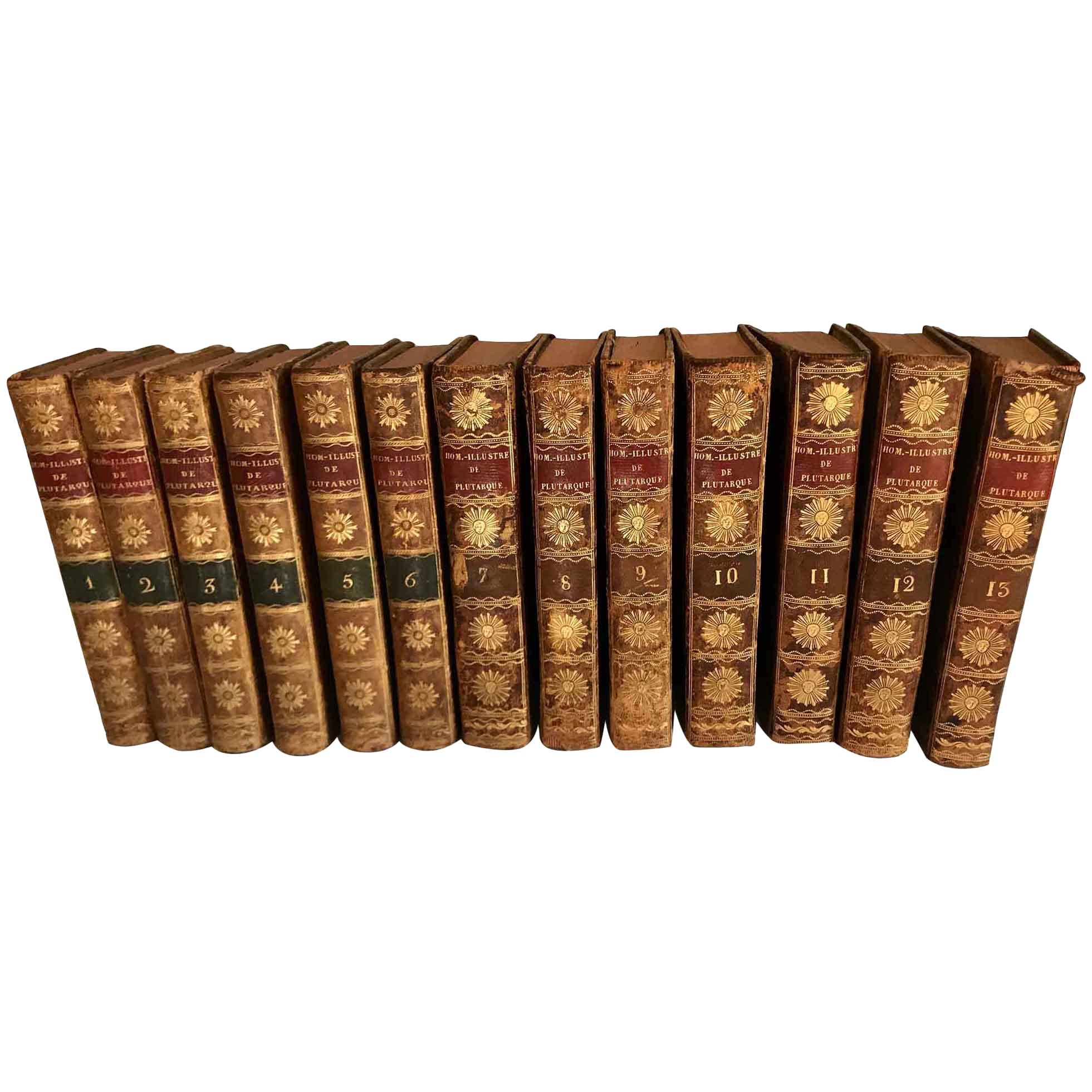 Set of 13 Volumes Antique Leather Books For Sale
