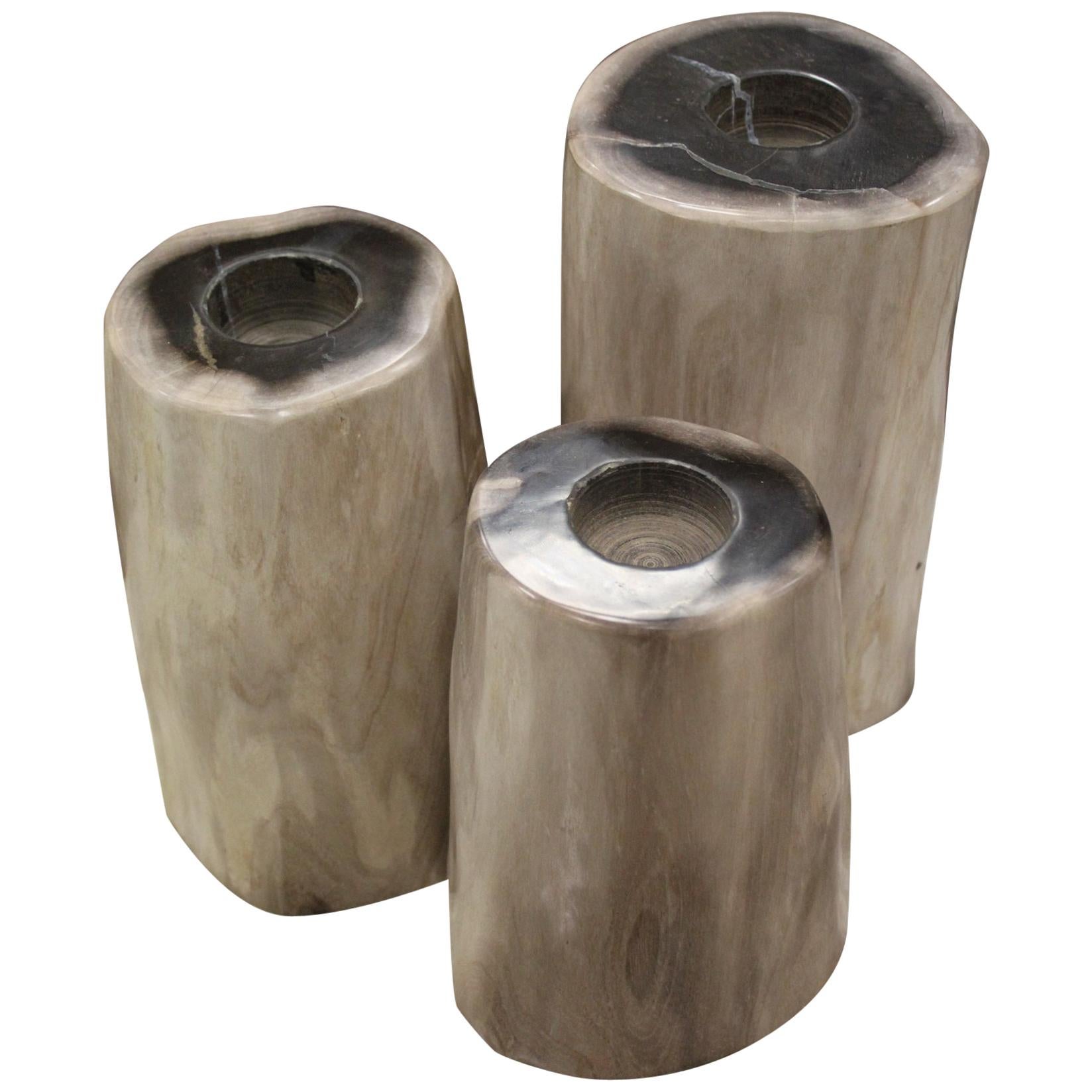 Set of 3 Petrified Wood Candleholders For Sale