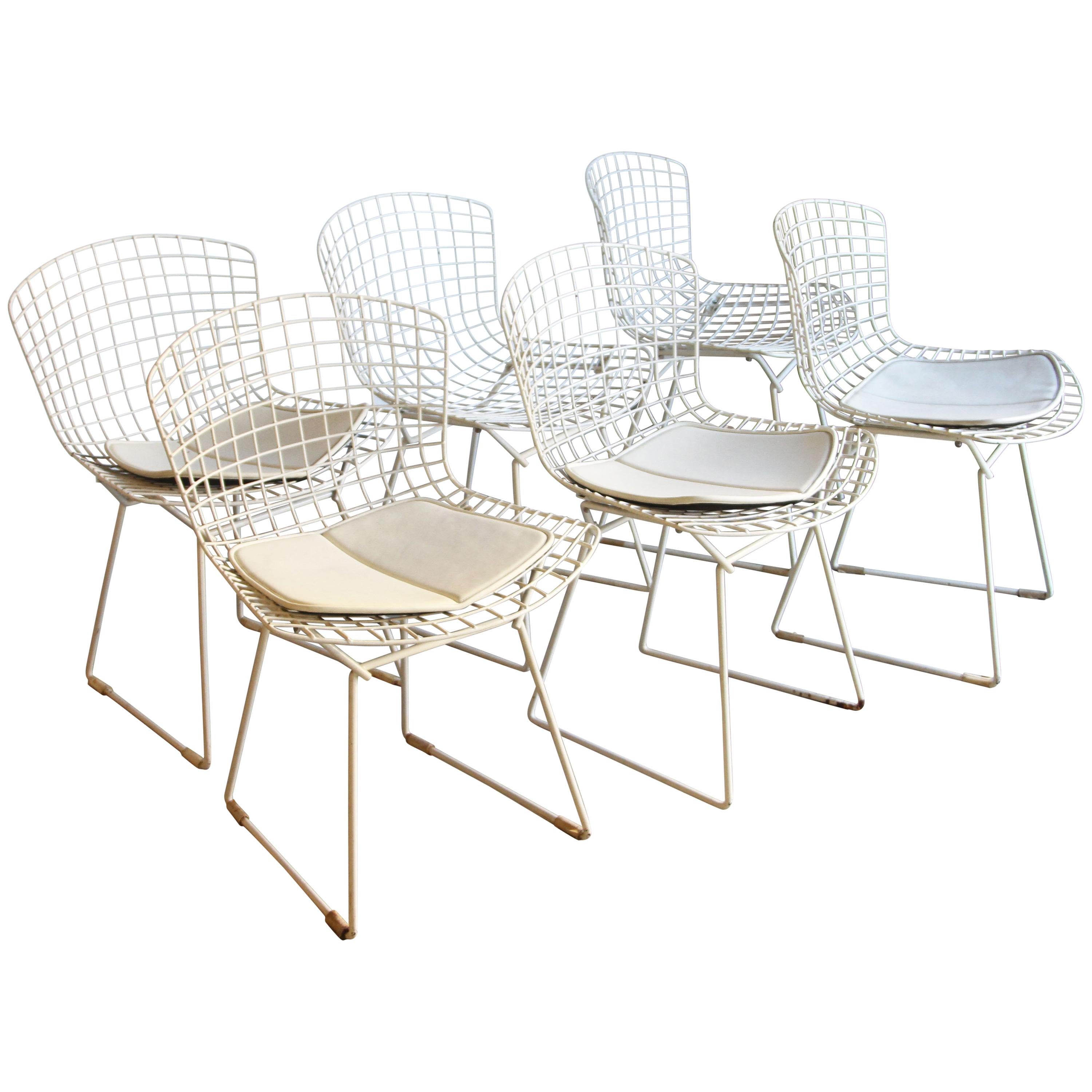 Set of 6 Bertoia Side Chairs for Knoll Vintage