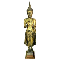 Grand Bouddha asiatique en bois sculpté et doré, debout, dans un temple serein