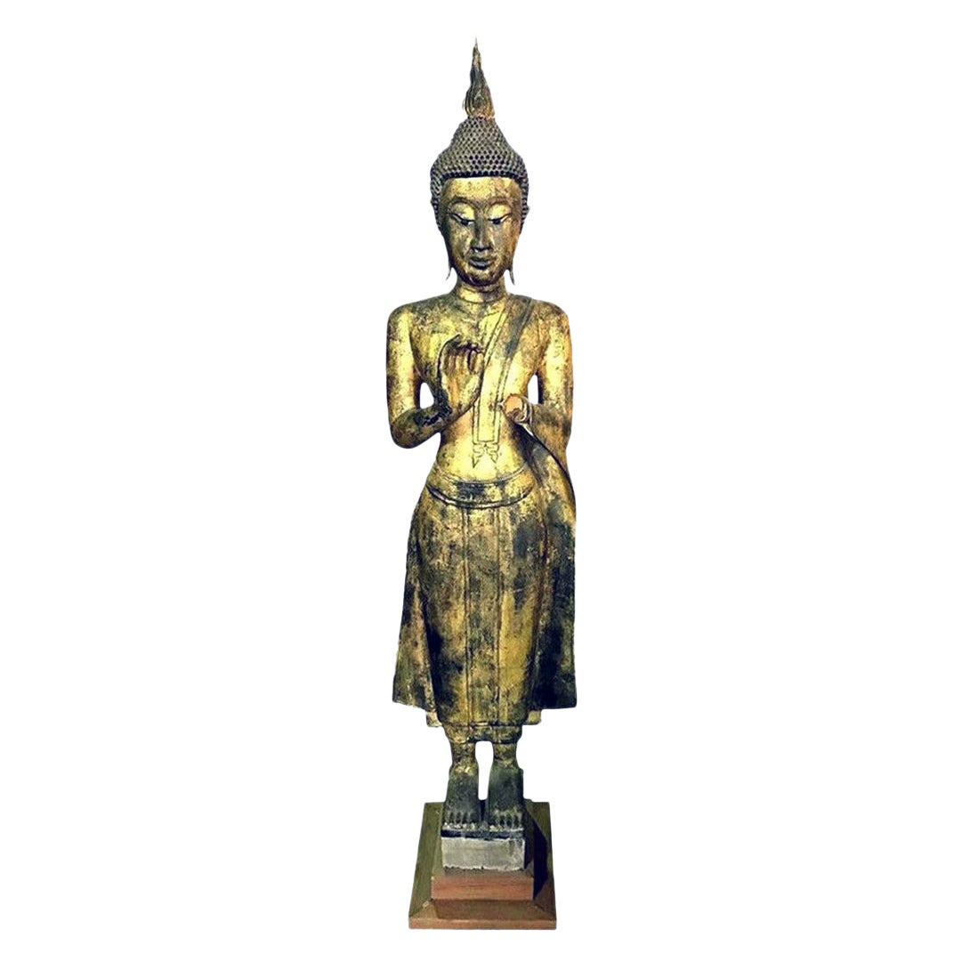 Alto Buddha asiatico thailandese in legno intagliato e dorato, in piedi, sereno, da tempio.