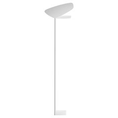 Neue und benutzerdefinierte Floor Lamps