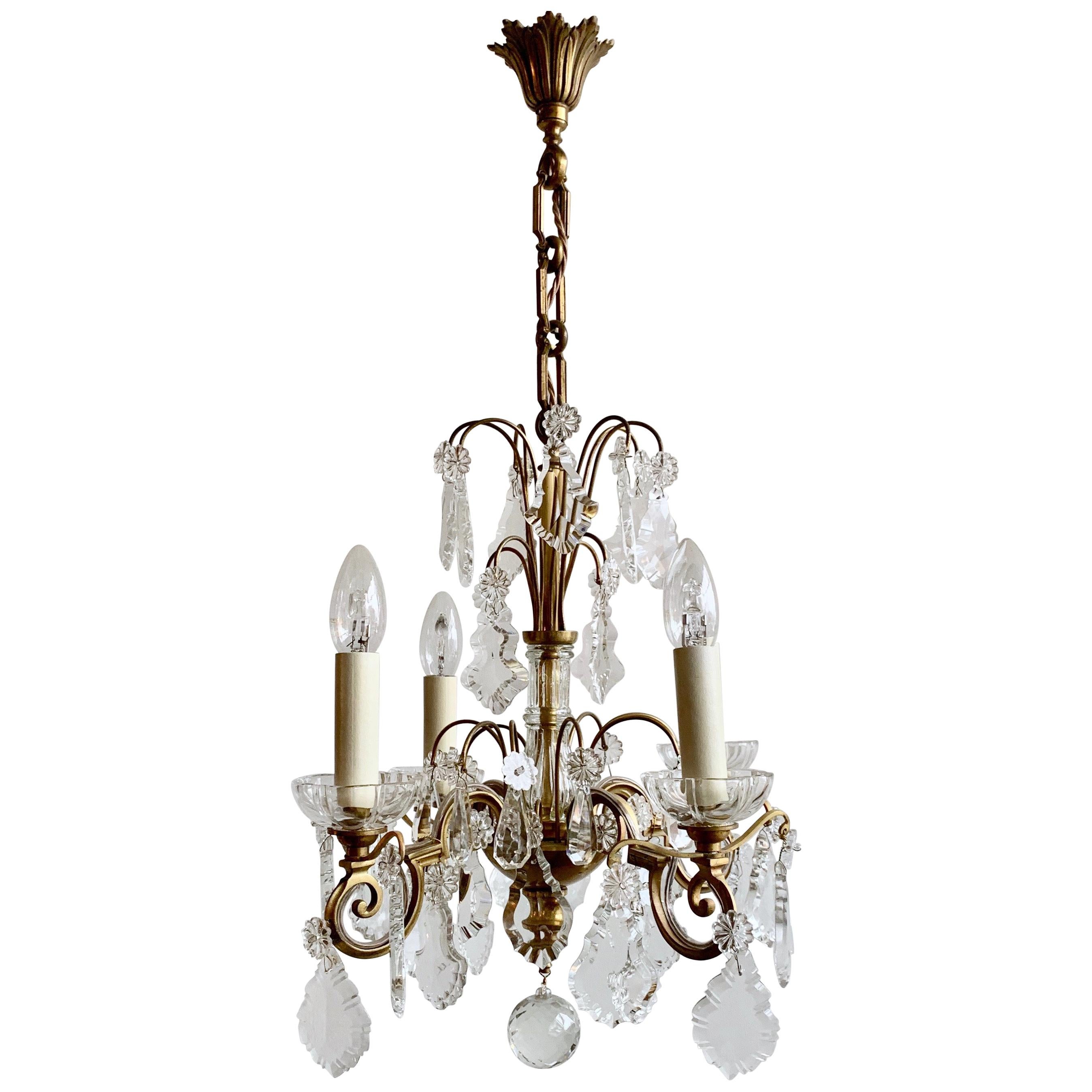 French, Brass, Louis XIV Style Chandelier with Flat Leaf Drops im Angebot