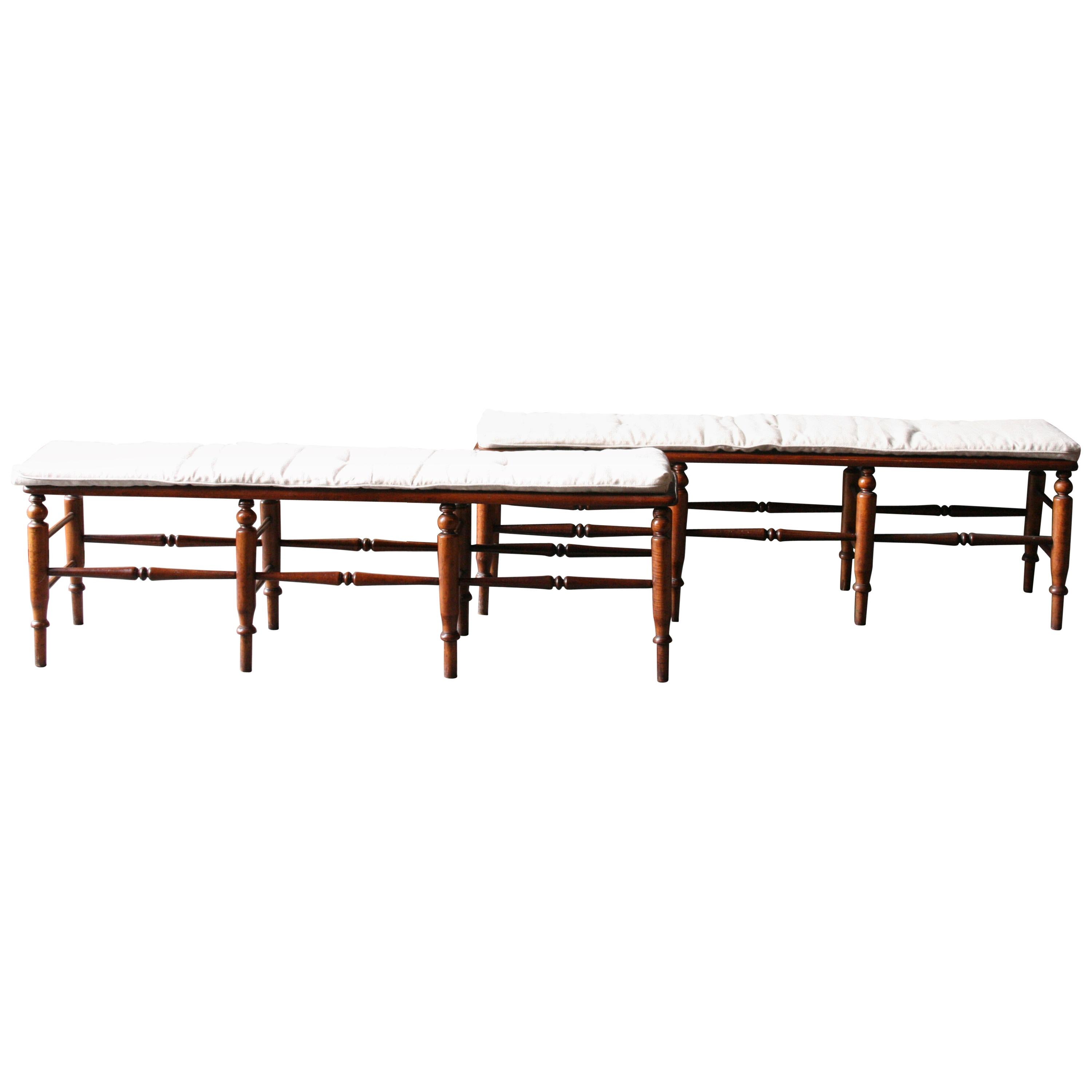 Pair of 19th Century English Mahogany and Cane Benches For Sale