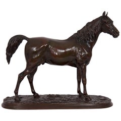 Antique French Bronze Sculpture of Horse Stallion “Ibrahim” After Pierre Jules Mene