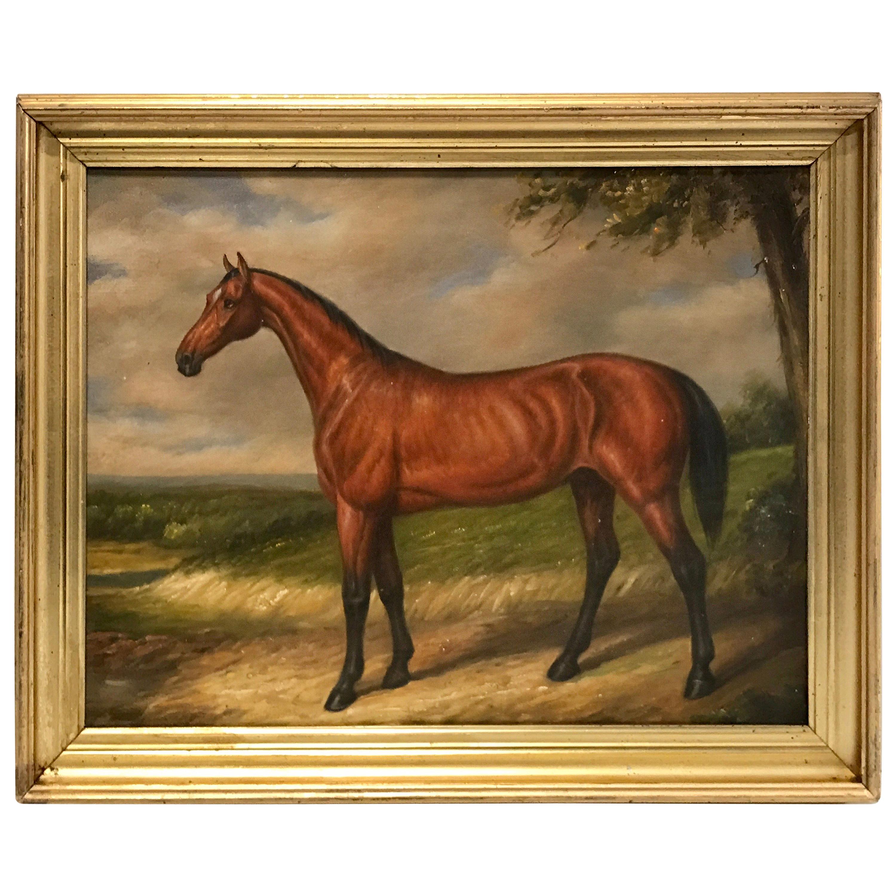 English Portrait of a Standing Horse