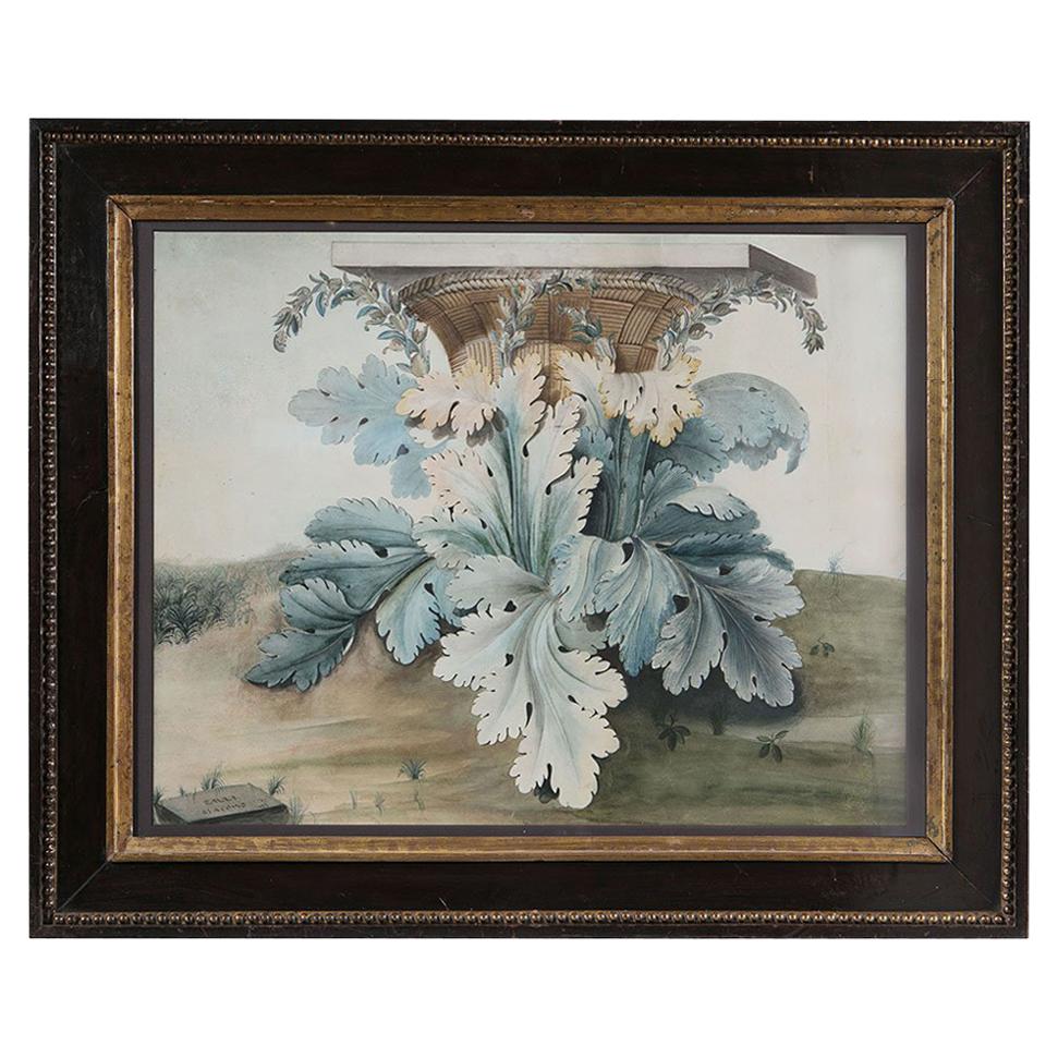 Early 19th Century Watercolor of a Capital by Giacomo Zalli For Sale
