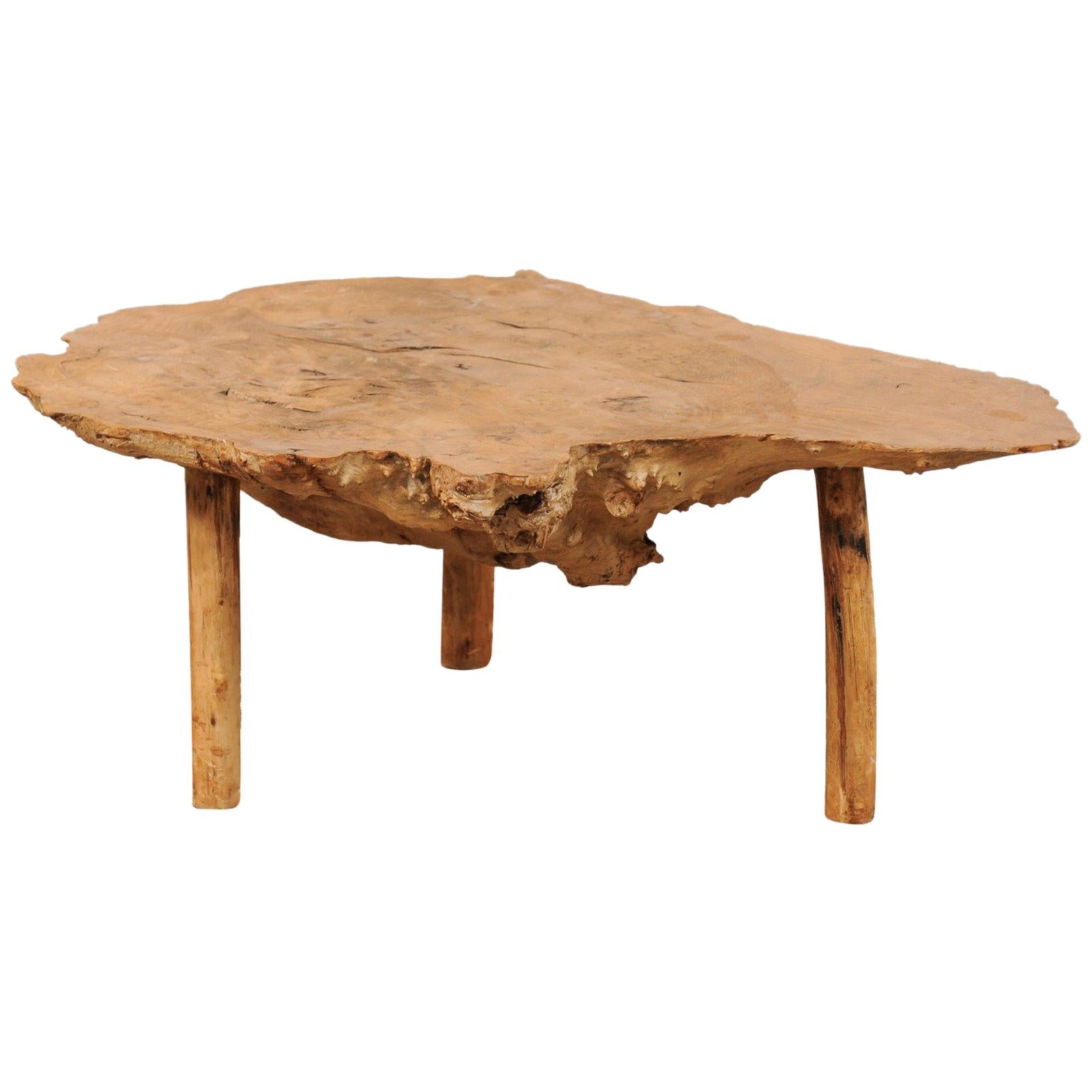 Spanish Antique Live-Edge Burl Wood Coffee Table