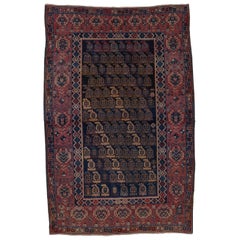 Tapis Shirvan ancien, vers les années 1900