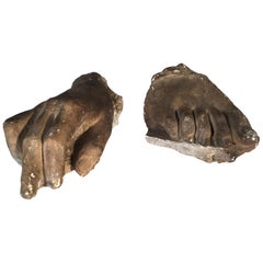 Plaster Cast Foot and Hand, 19th Century