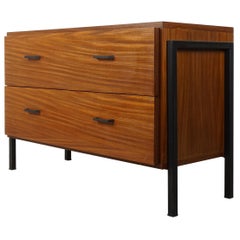 Vintage Teak Wooden and Black Metal 1950s Design Cabinet