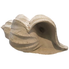 Used Plaster Shell