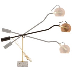 Awarded Wood, black and Brass Adjustable Desk Lamp, Brazilian Modern Style