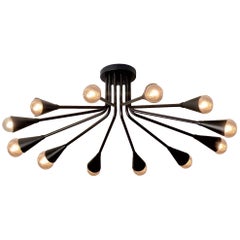 Corona Flush Mount Light Fixture in Black Enameled Brass by Blueprint Lighting