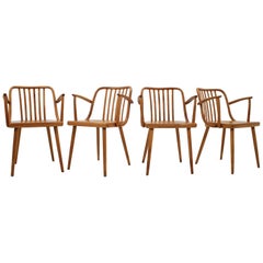 1960 Bentwood Armchairs by Antonin Suman for Ton, Set of Four