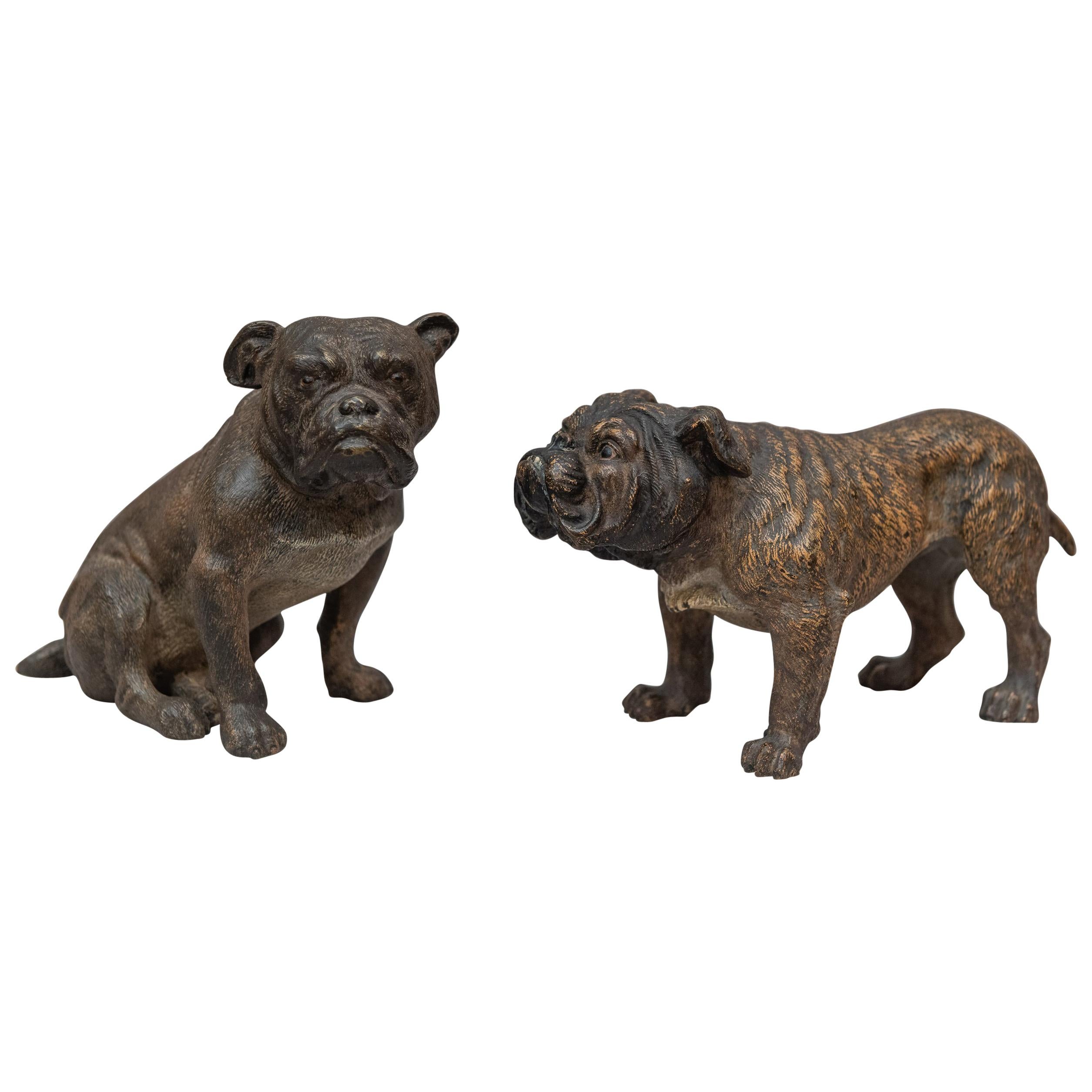 Pair of Cold Painted Vienna Bronze Bulldogs