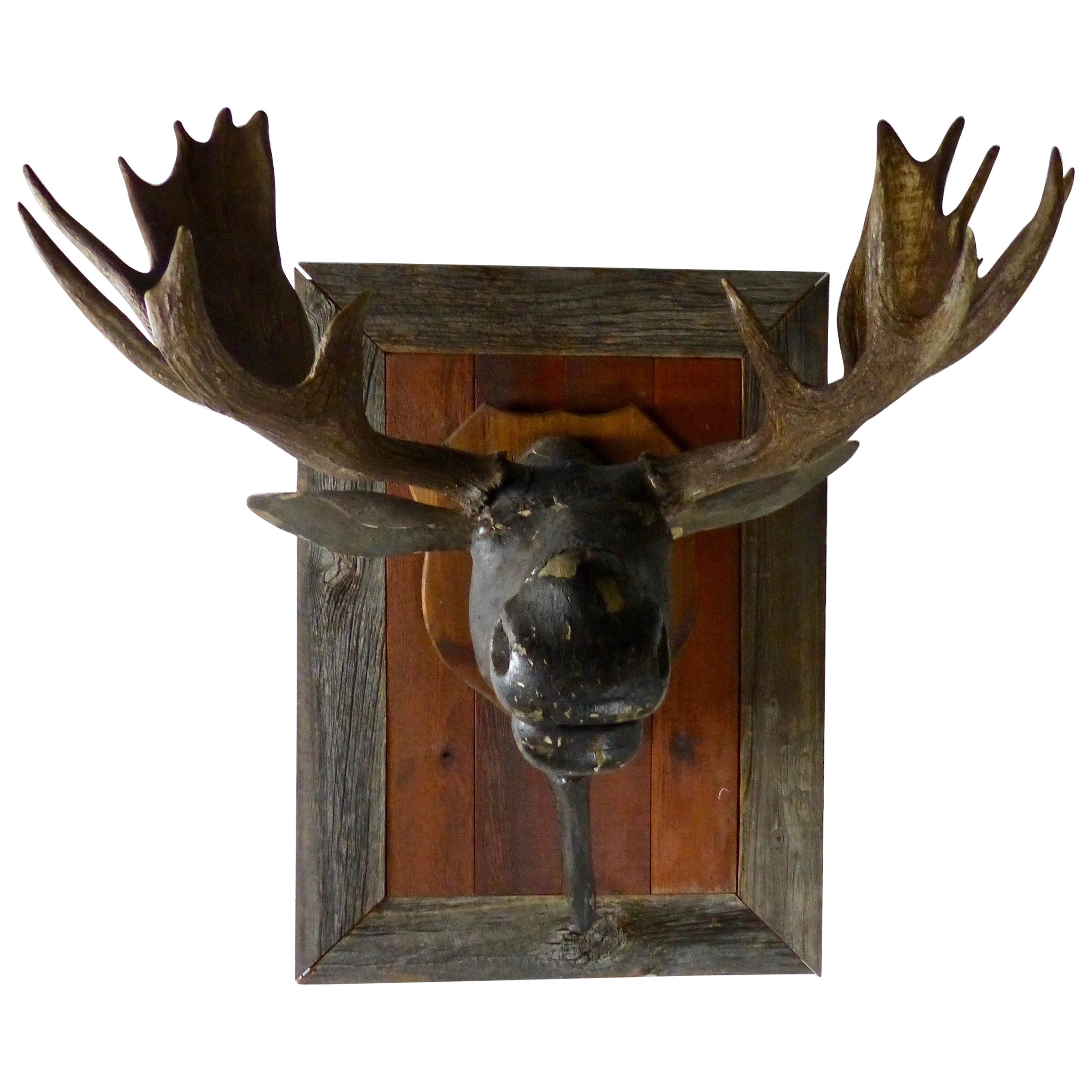 1940 Antique Folk Art Carved Moose Head with Antlers