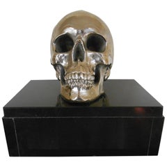 Nickel-Plated Resin Skull