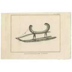 Impression ancienne d'un traîneau Kamchatka par Cook, 1803