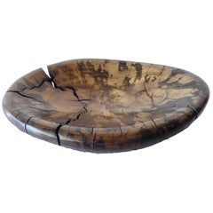 Spalted Cottonwood Bowl by Contemporary American Artist Daniel Pollock
