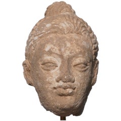 Gandhara Stucco Buddha Head '100 to 400 AD'