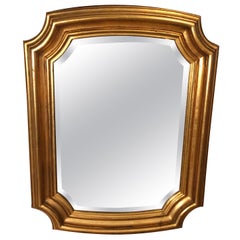 Gold Leaf Style Composite Beveled Mirror