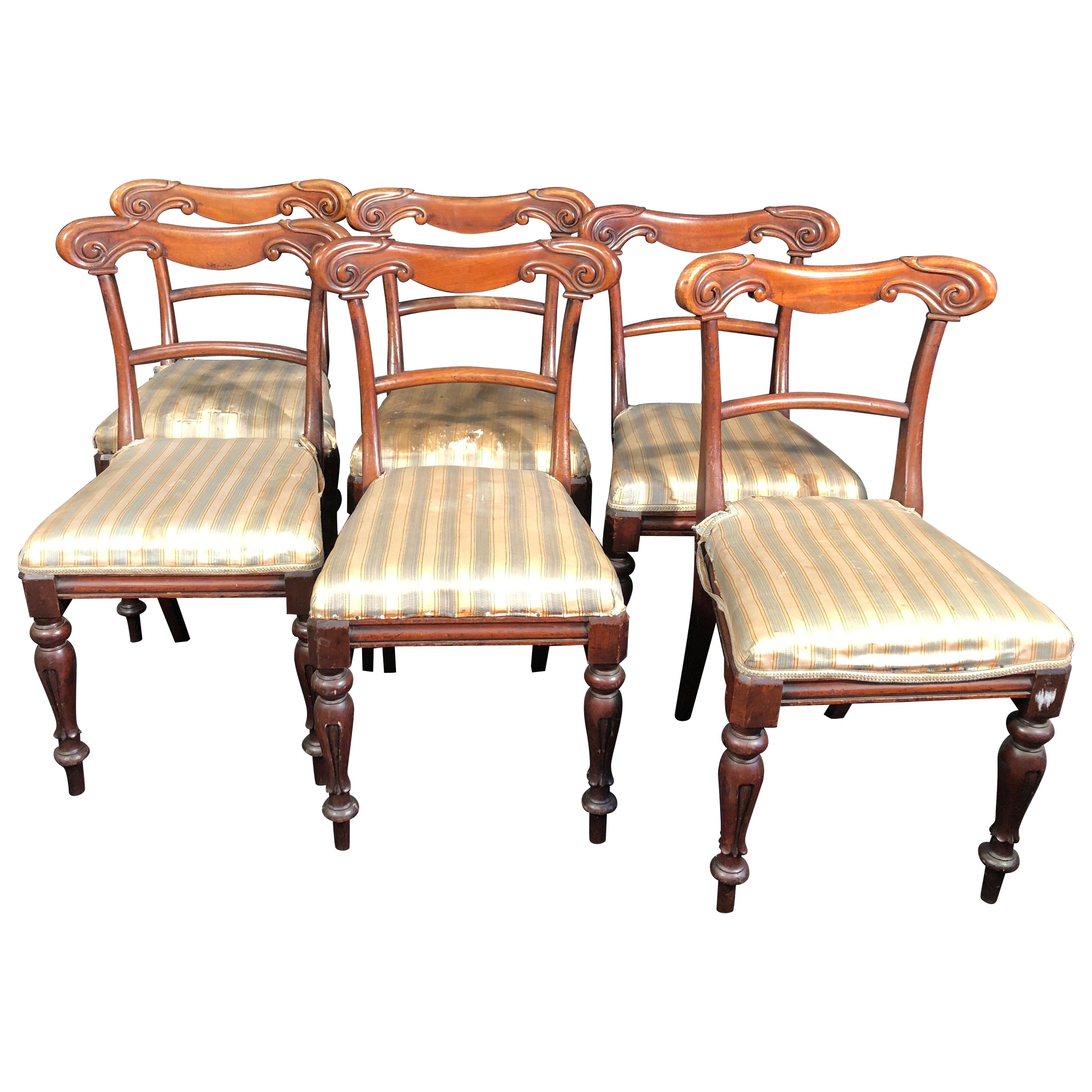 19th Century Regency Mahogany Chairs, 1830s