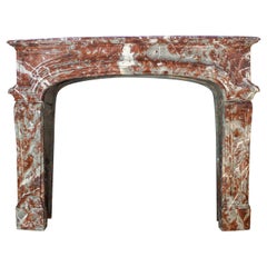 19th Century Louis XIV Style Fireplace in Belgian Rouge Royal Marble