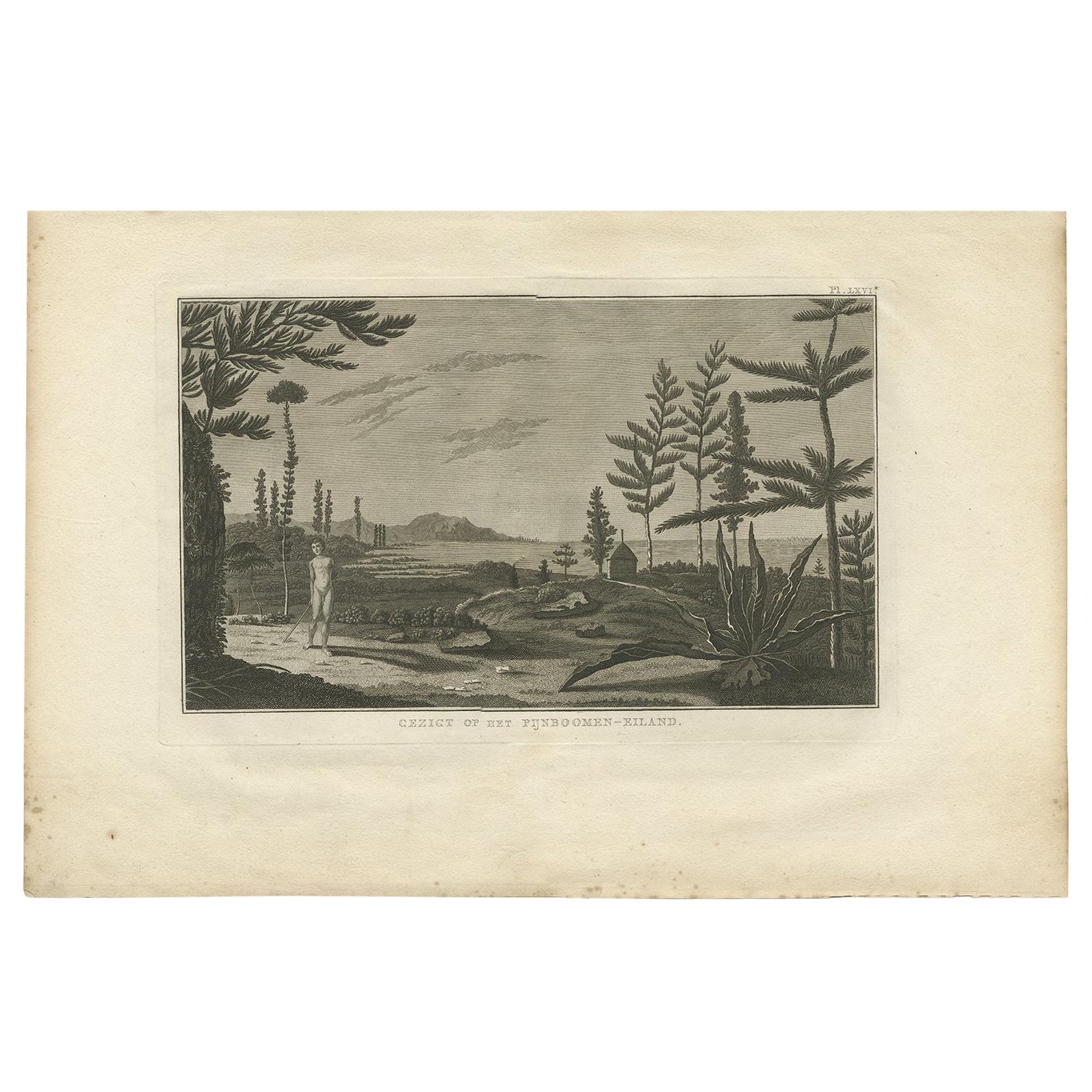 Antique Print of Pine Tree Island by Cook '1803'