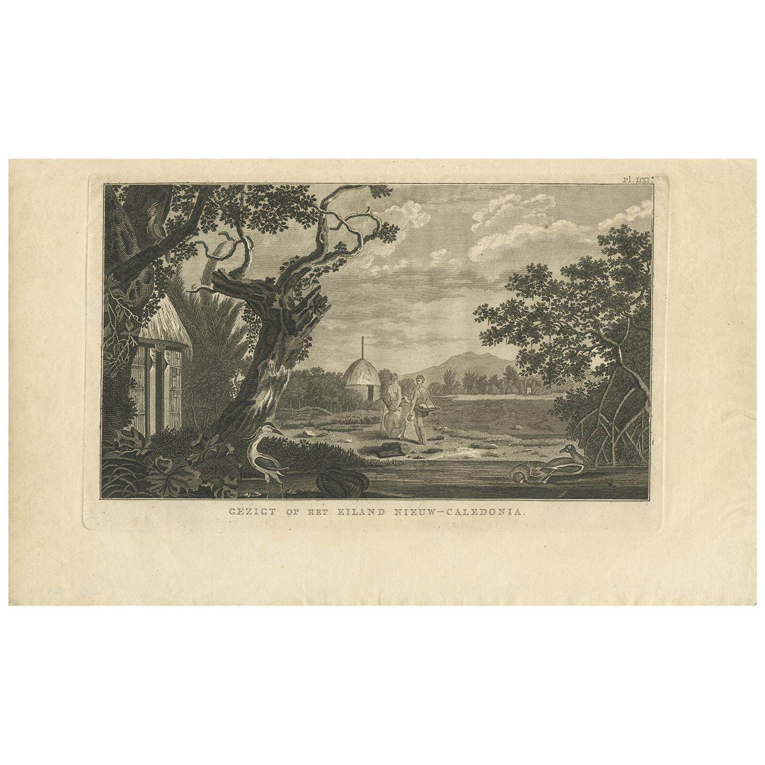 Antique Print of New Caledonia Island by Cook, 1803