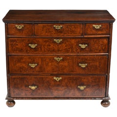 Antique Early 19th Century English Burled Chest of Drawers