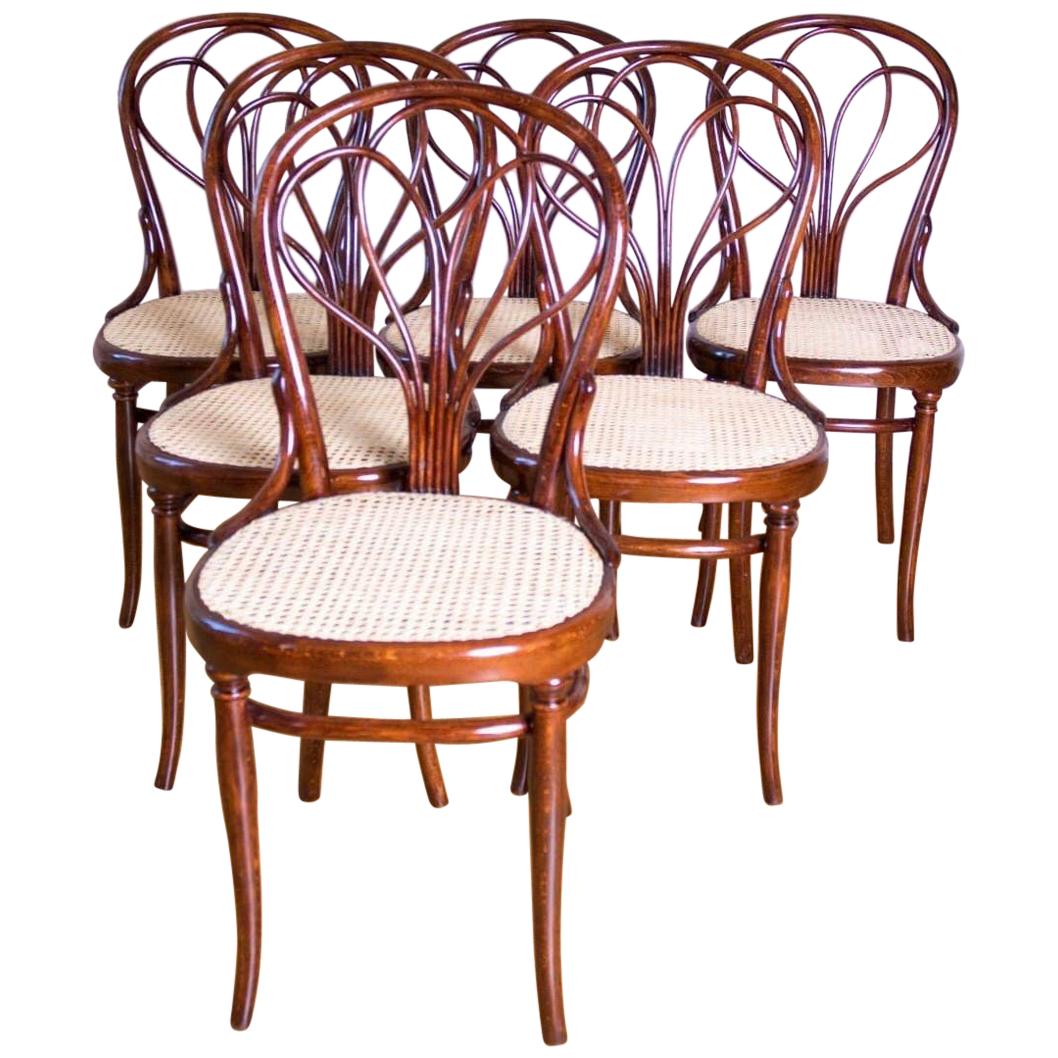 Wien Thonet Secession Chairs No.25 For Sale