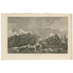 Stampa antica di Cook che spara ai trichechi, 1803