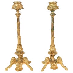 Pair of Gilt Bronze Candle Sticks 19th Century