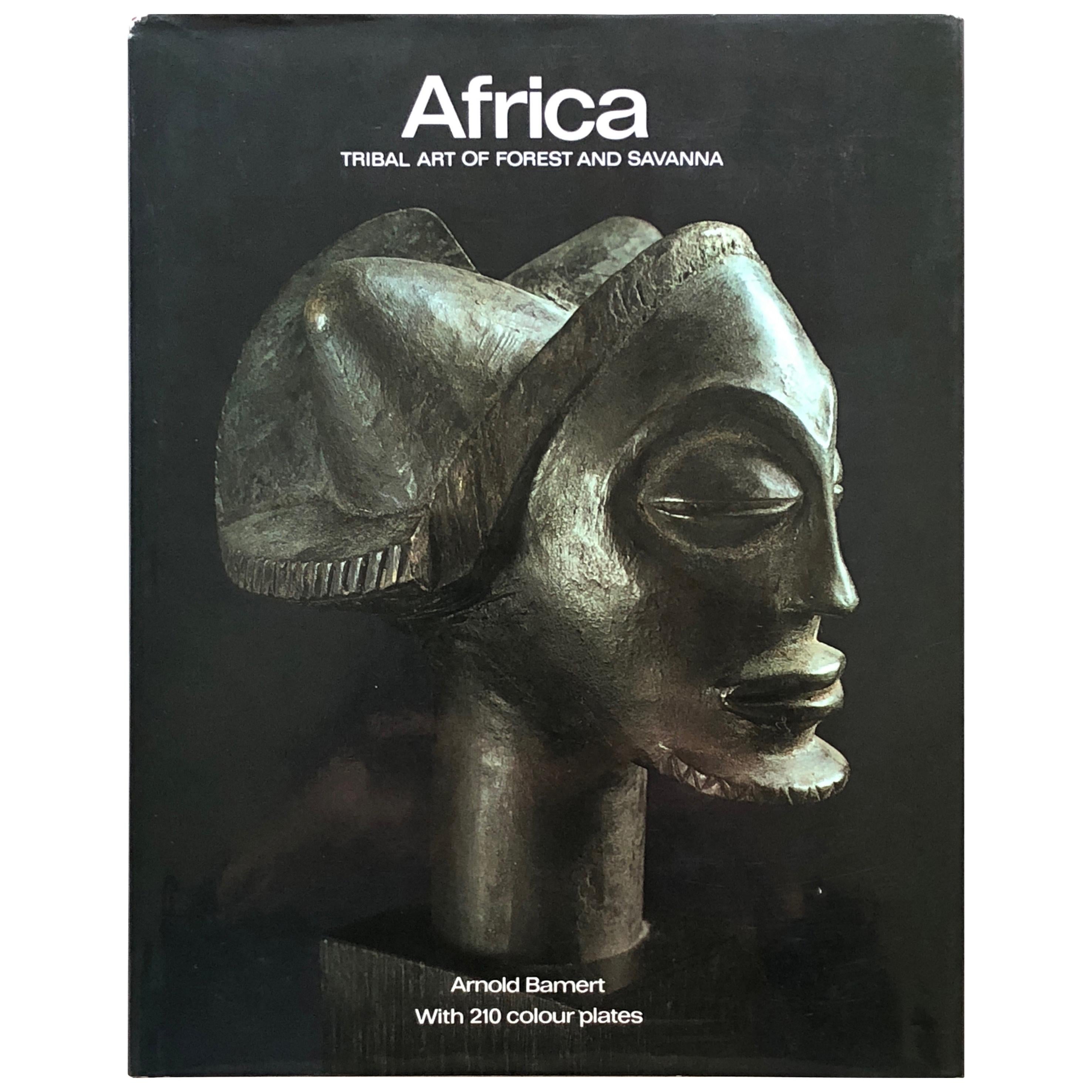 Africa, Tribal Art of Forest and Savanna For Sale