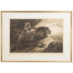 Herbert Dicksee Lion Etching, 'The Alarm'