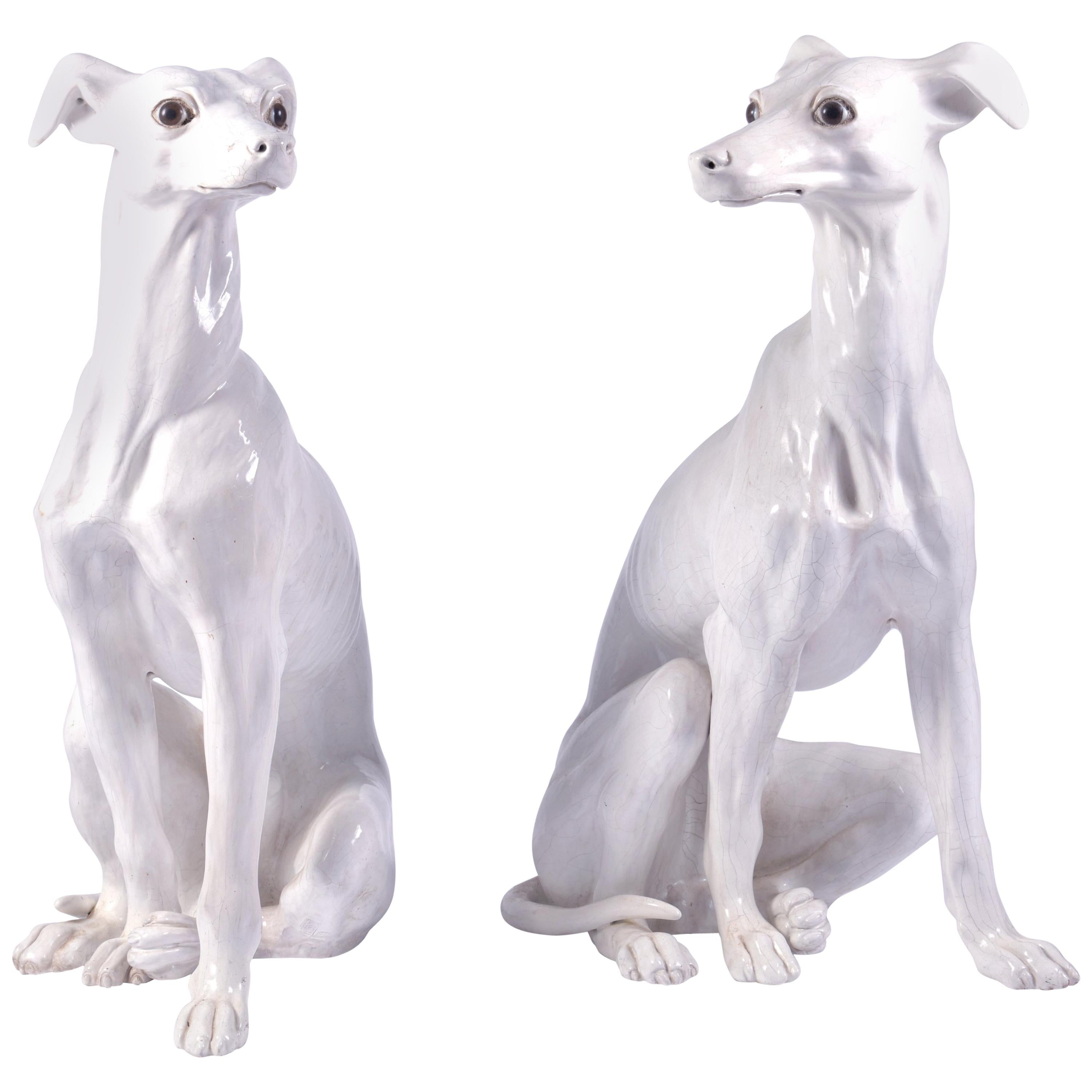 Pair of White Glazed Terracotta Greyhounds