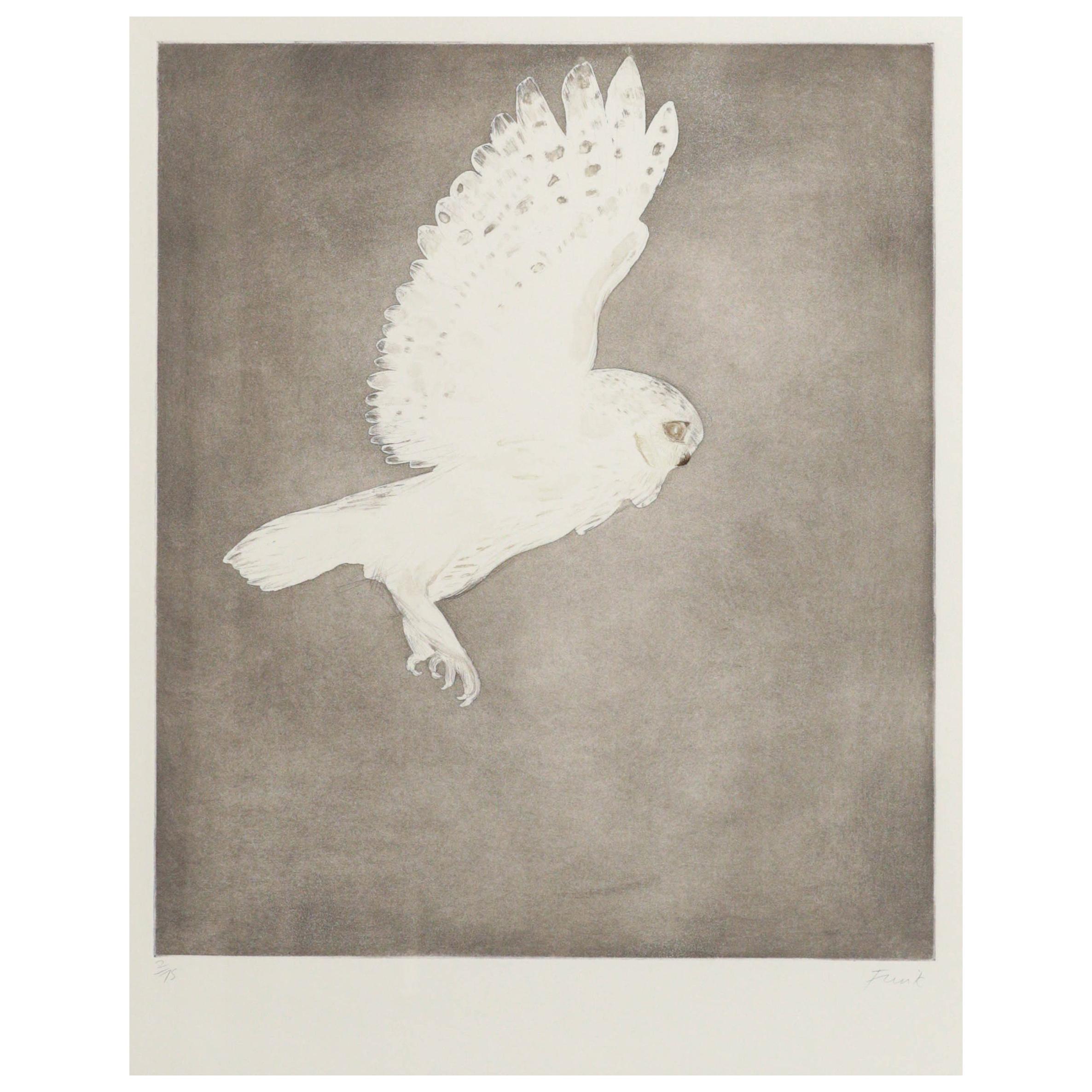 Little Owl, circa 1977, Etching with Aquatint in Colors by Dame Elizabeth Frink For Sale