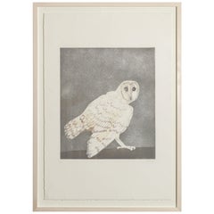 Barn Owl, Etching with Aquatint in Colors by Dame Elizabeth Frink, circa 1977