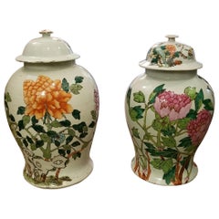 Rare Pair of Antique Chinese Lidded Ginger Jars