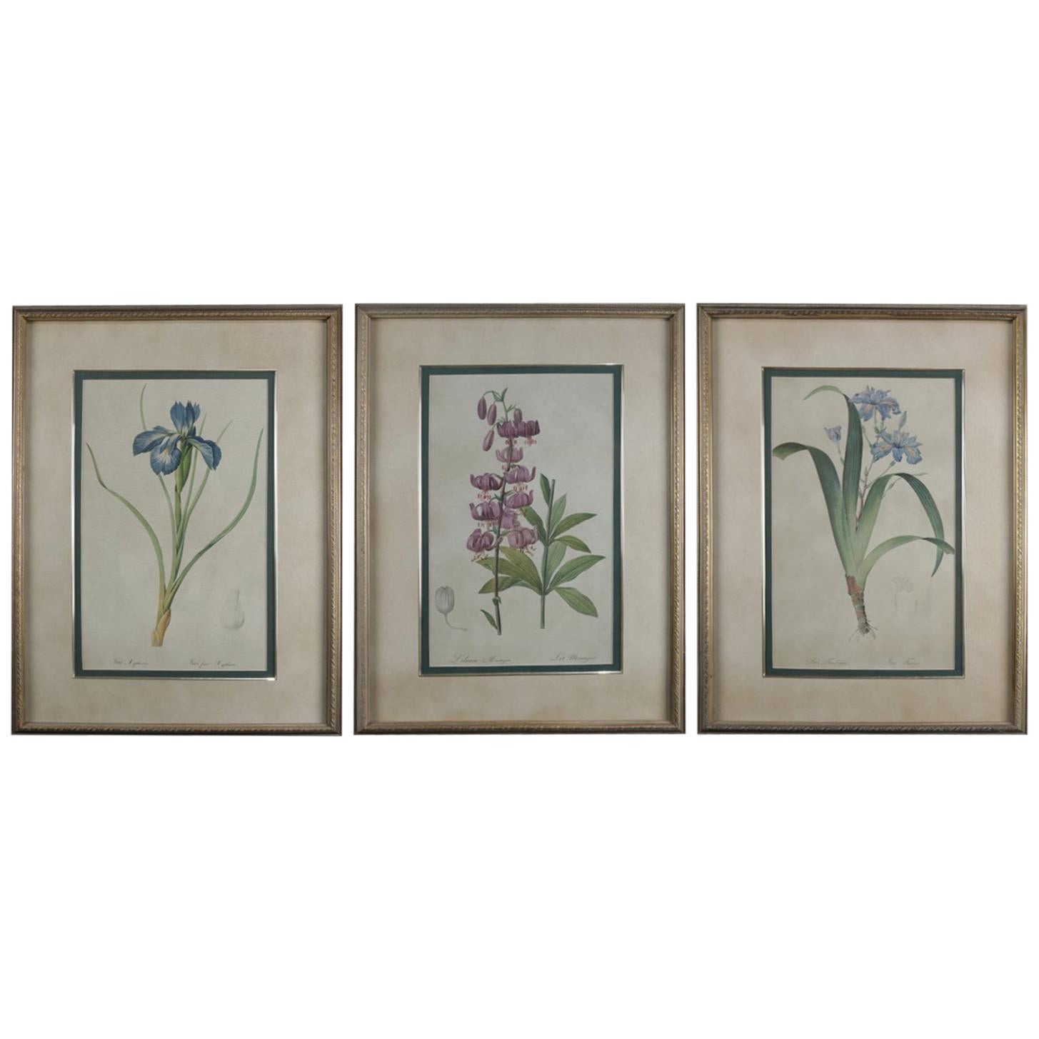 Set of Three-Botanical Floral Prints, circa 1990