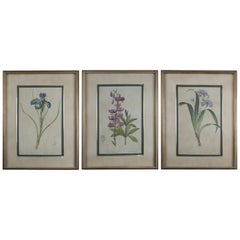 Vintage Set of Three-Botanical Floral Prints, circa 1990