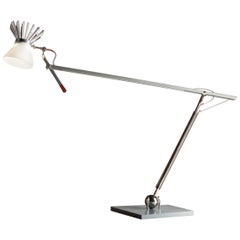 "Bastardo" Fully Adjustable Table or Floor Lamp by Bernhard Dessecker
