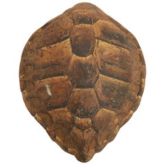 Wooden Faux Tortoiseshell