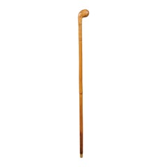 English 20th Century Bamboo Walking Cane with Know Head Handle and Warm Patina