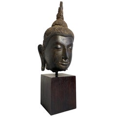 Tête de bouddha thaïlandaise en bronze Ayutthaya:: style U-Thong C:: 14e-15e siècle