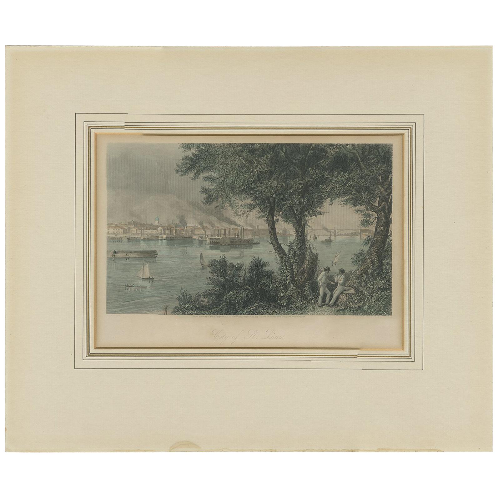 Antique Print of the City of St. Louis by Appleton, 1872 For Sale