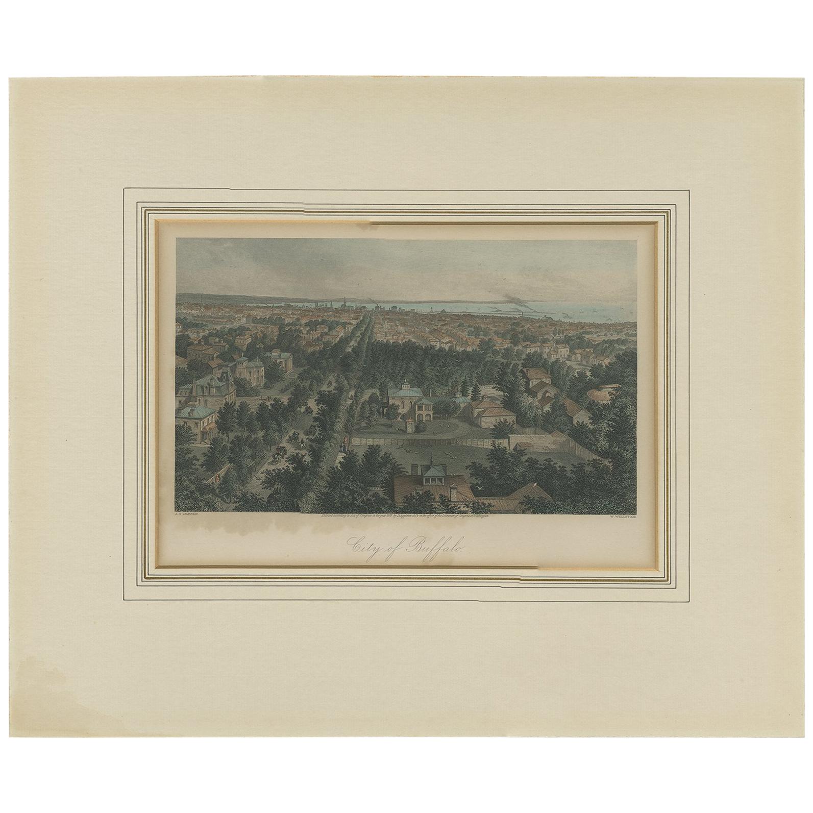 Antique Print of the City of Buffalo by Appleton, 1872 For Sale